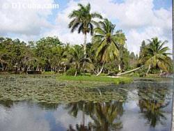 Ciénaga de Zapata